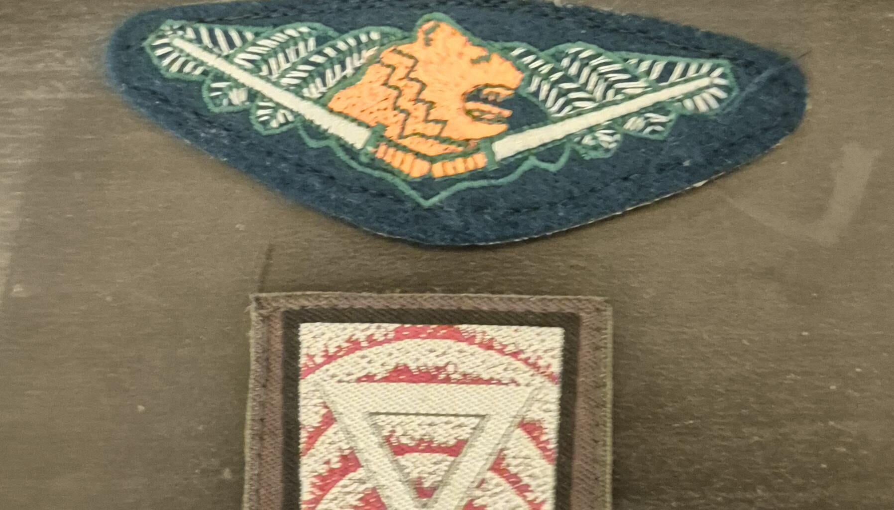 What are these patches? I found them at an online auction and it just said "finnish military patches" with no more info.