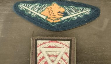 What are these patches? I found them at an online auction and it just said "finnish military patches" with no more info.