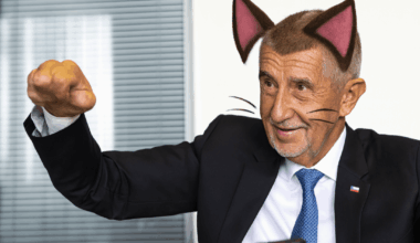 Co kdyby místo sněmovny bysme měli sněmeownu a místo posranců by tam byla koťátka⁉️