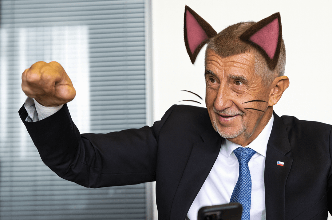 Co kdyby místo sněmovny bysme měli sněmeownu a místo posranců by tam byla koťátka⁉️