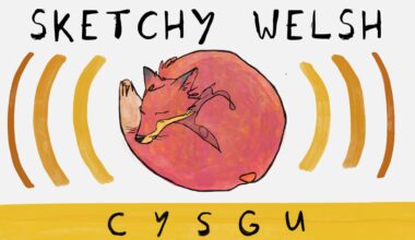 Cymraeg words about sleep …