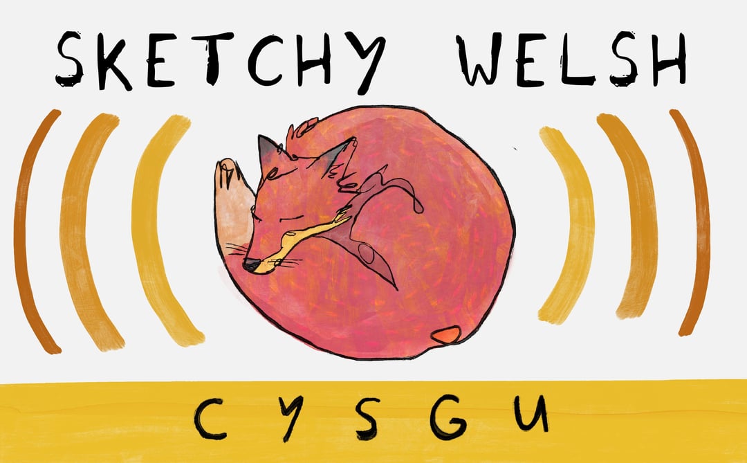 Cymraeg words about sleep …