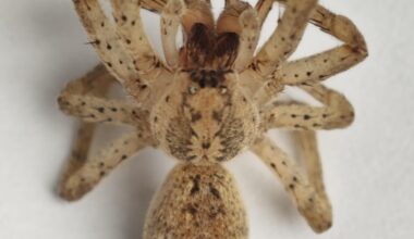 Ebe reicht's! Es wird zu viel!