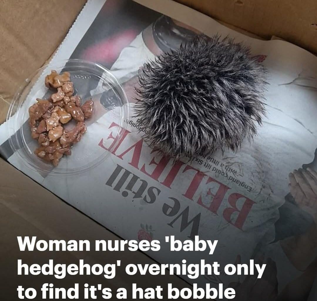 "Karen, I've got a cat with no pulse here, I need adrenaline and an IV line quick as you can, please... "