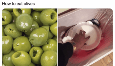 Hey lower Europe, I wanna learn how to eat olives but I find them disgusting as fuck, where I start?