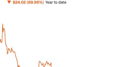 Trump’s stock dropped so fast it applied for a job at Spirit Airlines.