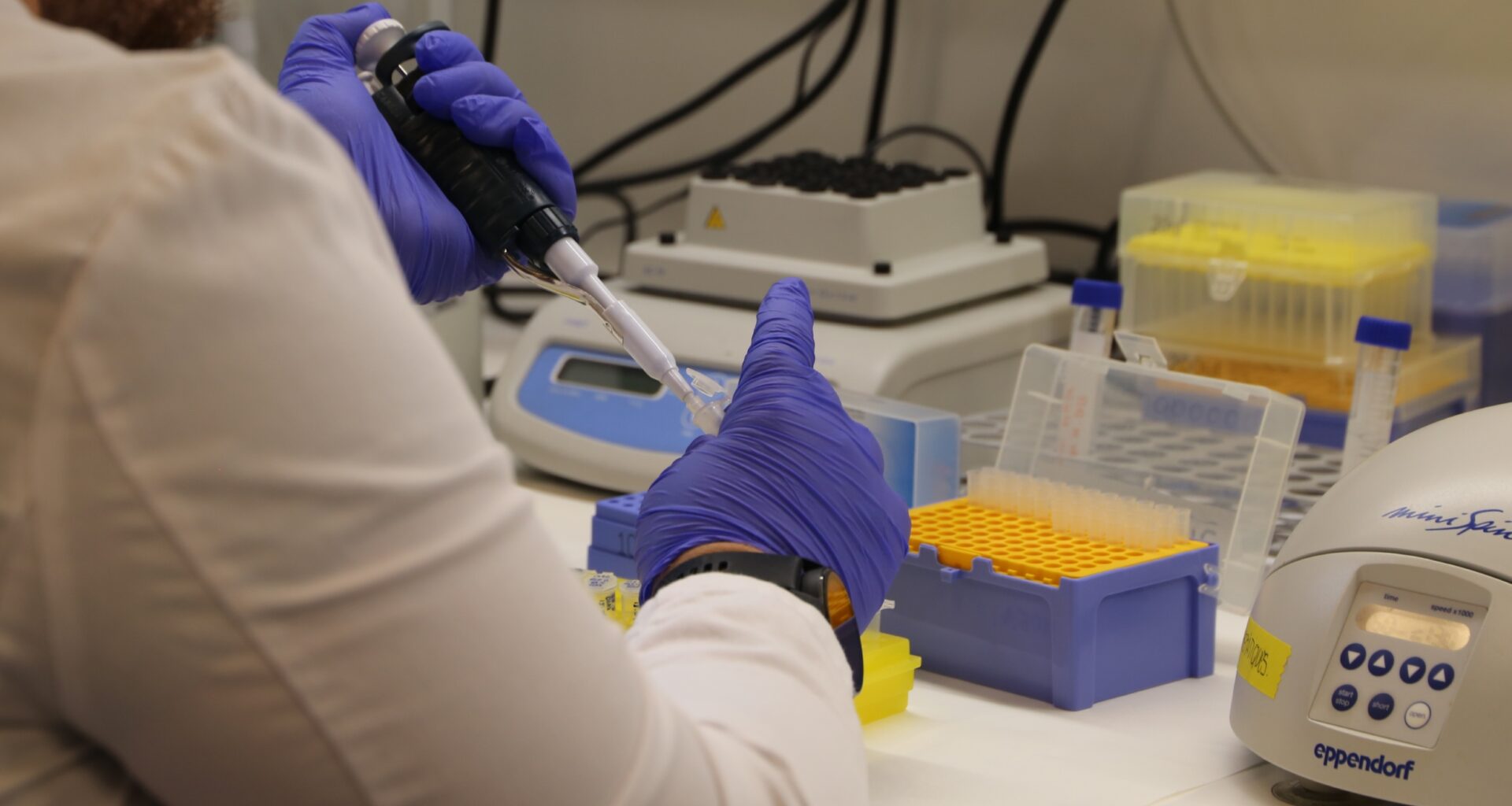 Ocho profesionales de Vall d’Hebron entre los investigadores