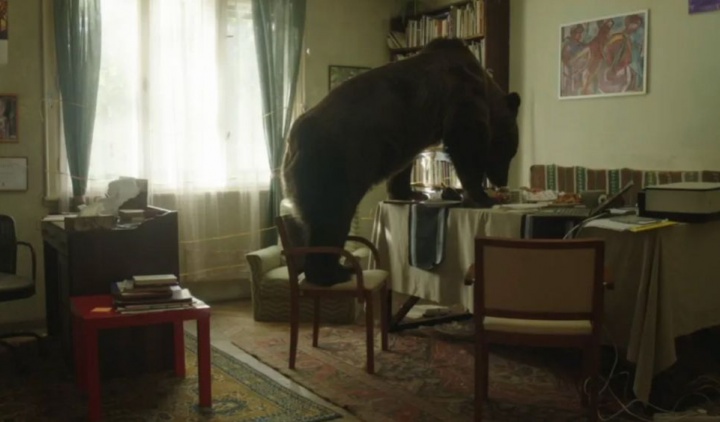 Konrád Zsuzsanna medvés filmjét díjazták Tallinnban - Hír