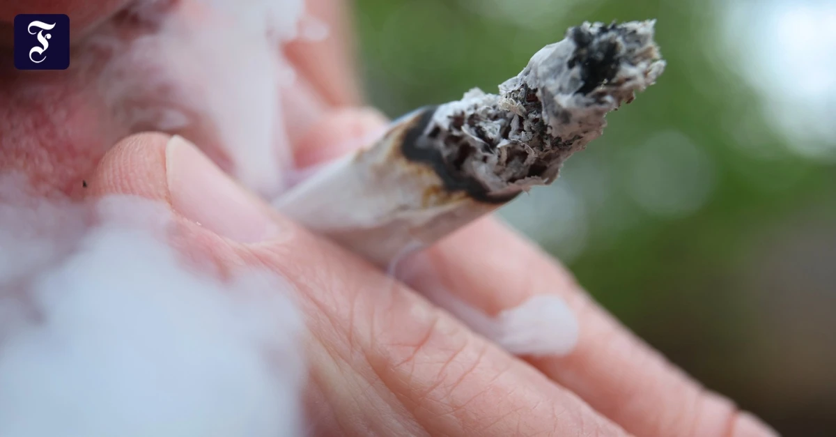 Nach Teillegalisierung: Cannabis-Konsums in Deutschland steigt laut Studie