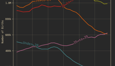 thirties are the new twenties: trends in US births by maternal age, 1995-2024. Since 2022, more babies have been born to mothers over 40 than under 20. [OC]