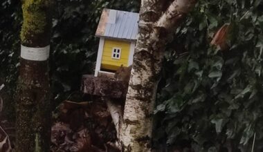 Maus oder Ratte? Wer futtert hier am falschen Haus?