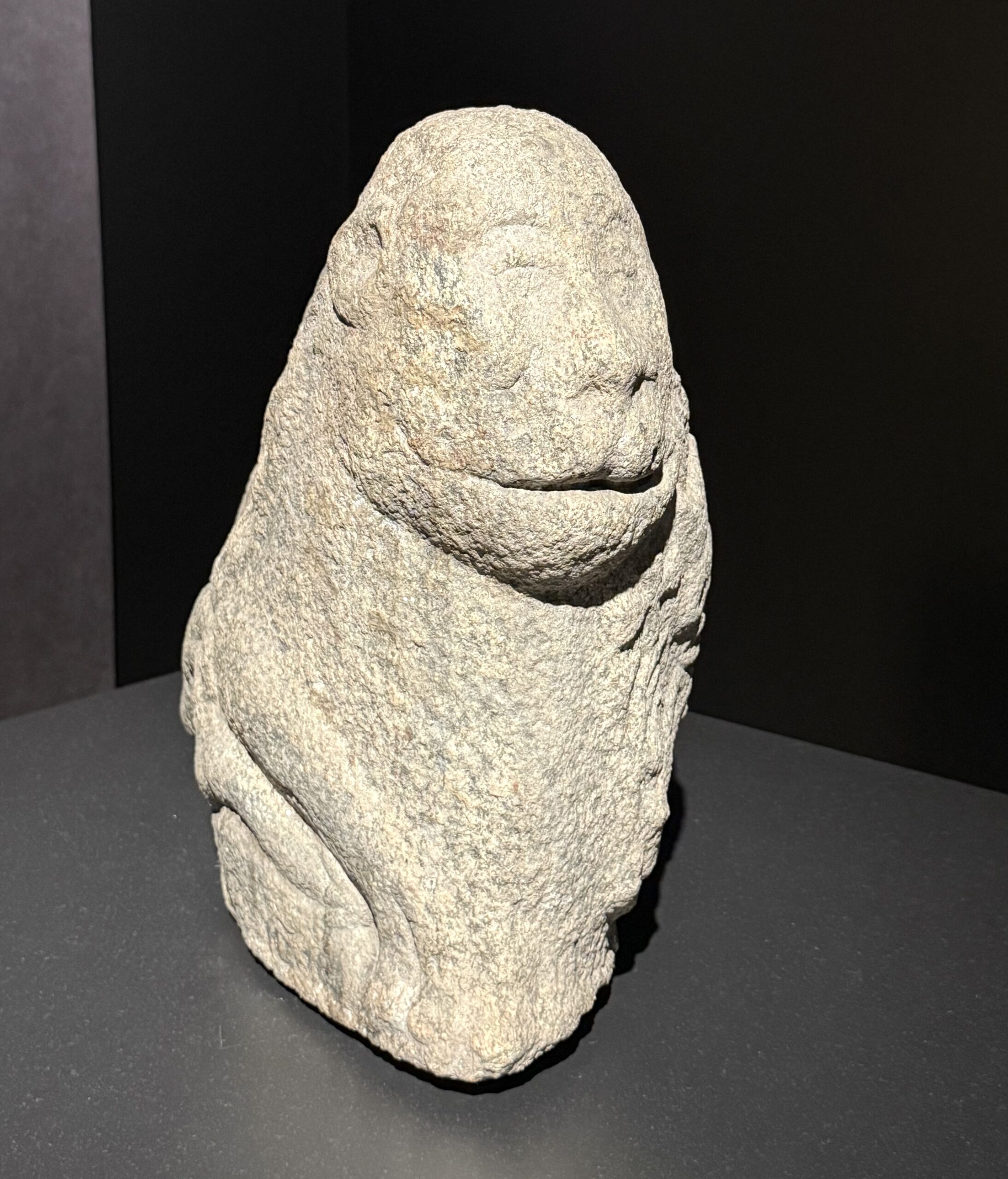 The lion: front view.