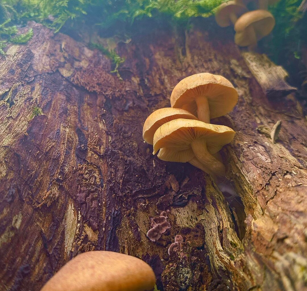 Ein paar Schnappschüsse