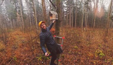 500 Nistkästen – Marathon-Projekt