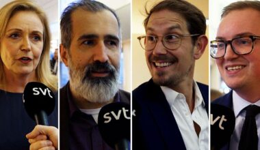 SVT - C röstar oftare med SD än S