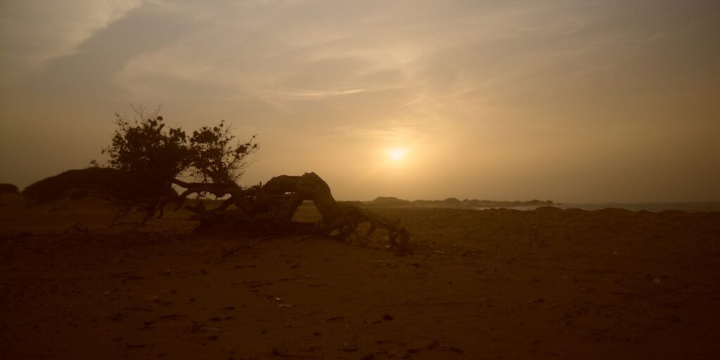 Sandy road crossing the desert landscape near Manaure in La Guajira, Colombia, with low vegetation under a clear sky.