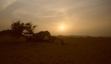 Sandy road crossing the desert landscape near Manaure in La Guajira, Colombia, with low vegetation under a clear sky.