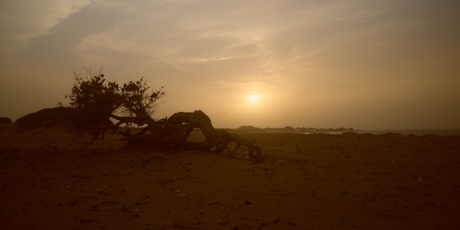 Sandy road crossing the desert landscape near Manaure in La Guajira, Colombia, with low vegetation under a clear sky.