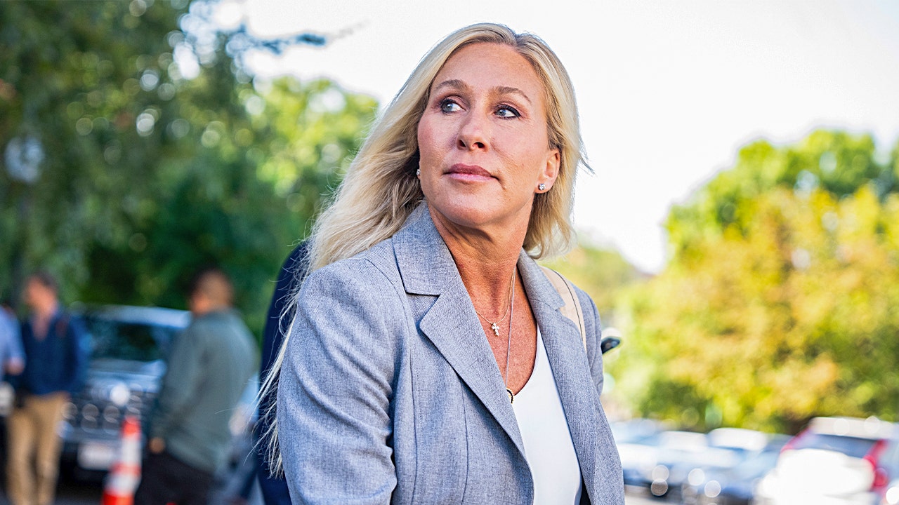 Raskin says Democratic Party would welcome MTG, drawing boos from the crowd