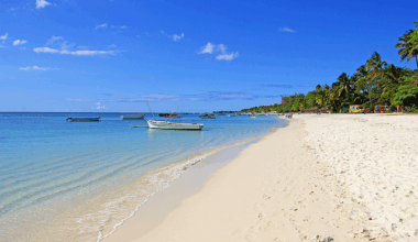 Η νέα τάση στον τουρισμό: Να «δουλεύεις» για το φαγητό σου στις διακοπές | Ειδήσεις για την Οικονομία