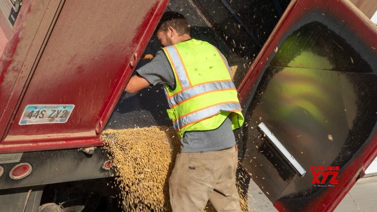 Iowa farmers' incomes to decline amid trade war, no farm bill allocations, report finds (Video)