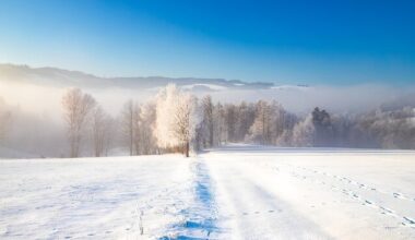 Petel.bg - новини - Арктически студ нахлува в България в края на ноември и началото на декември