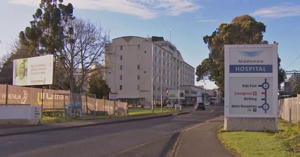 Opioid error at Middlemore Hospital leaves woman with brain injury