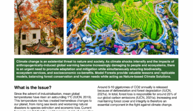 Model Forests and Climate Change - resource