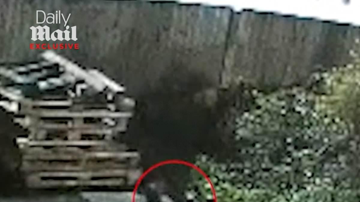 British train 'knifeman' is named and charged over ANOTHER attack in London hours before Huntingdon train rampage that left 11 hurt