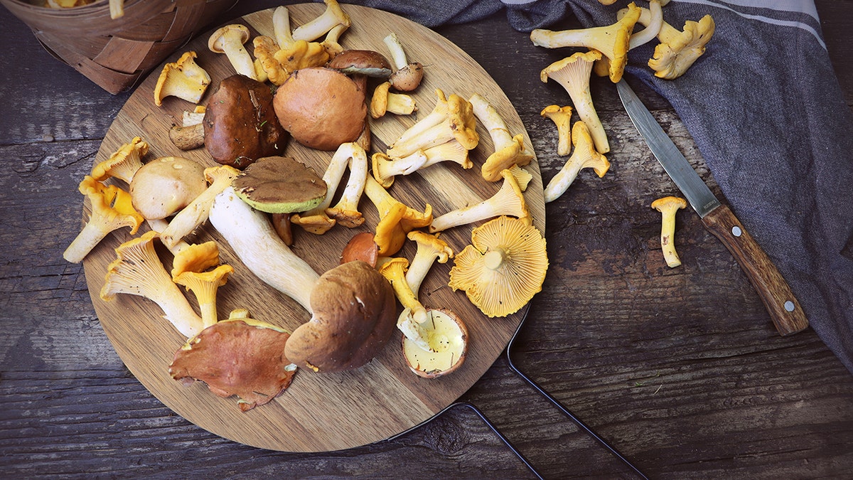 Mix of forest mushrooms on cutting board over old wooden table