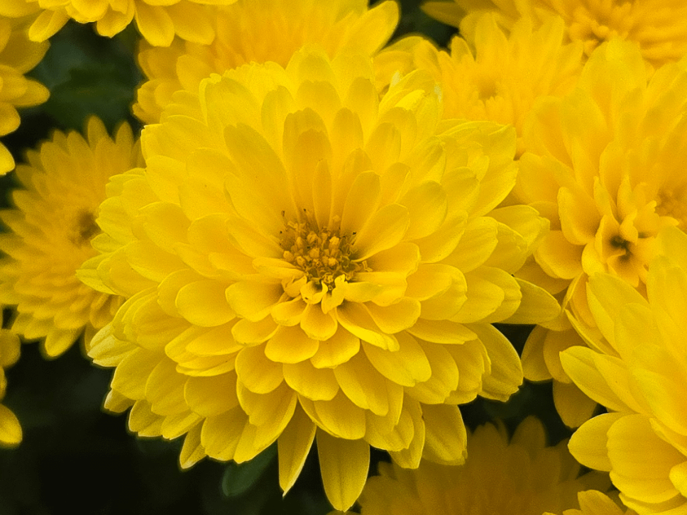 Ein zweites Mal gekommen