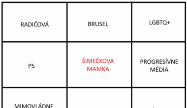 BINGO: Vyjadrenie vlády