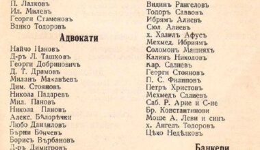 Собственици на бизнеси във Видин през 1911-та