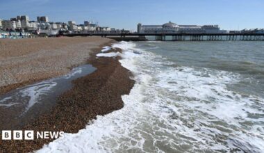 Asylum seekers accused of Brighton beach rape given trial date. Iranian national Abdulla Ahmadi, 25, of Crewe, Cheshire, along with Egyptian nationals Karin Al-Danasurt, 20, and Ibrahim Alshafe, 25 - both of Horsham, West Sussex - are each charged with two counts of rape.