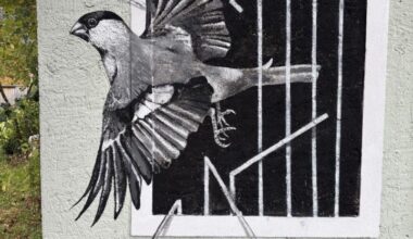 Graffiti-Kunst gegen Jagd auf Singvögel im Salzkammergut