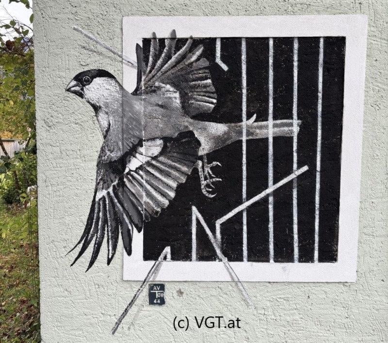 Graffiti-Kunst gegen Jagd auf Singvögel im Salzkammergut