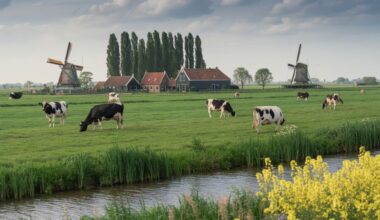 The netherlands ranks as the safest country for travellers in 2026, offering peace and inclusivity.