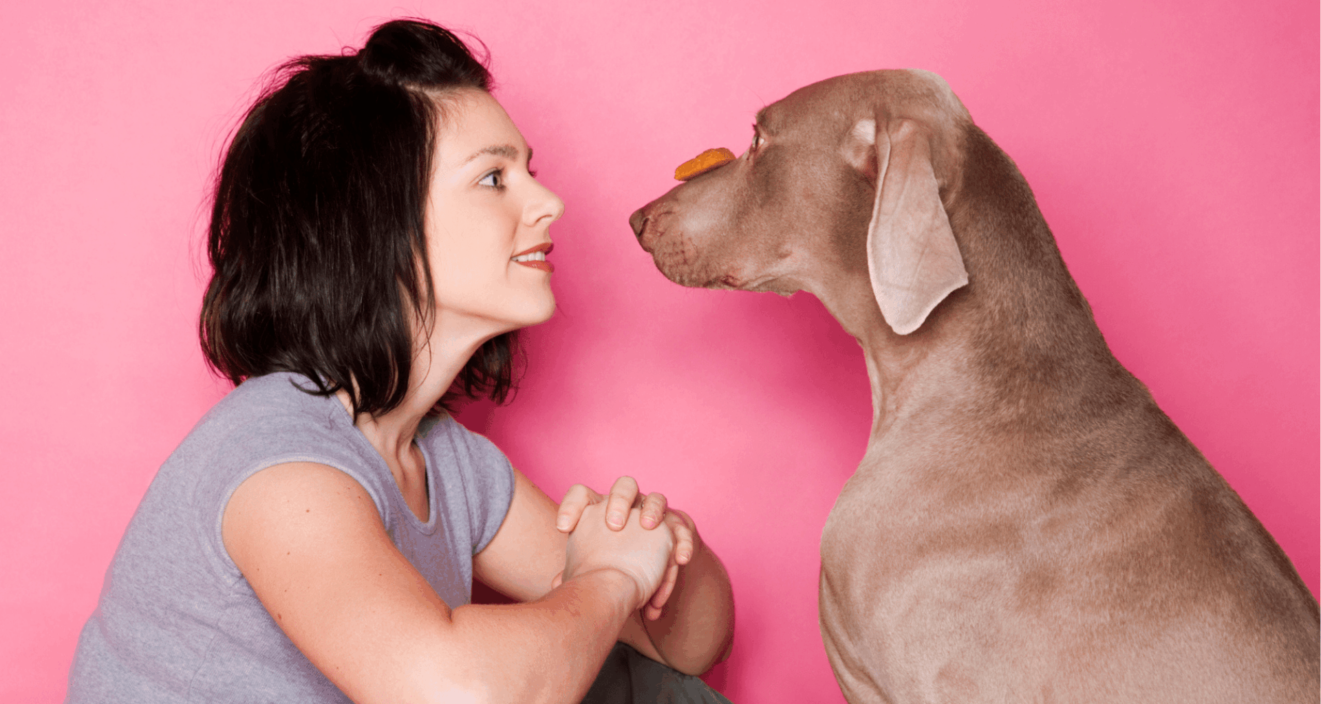 Scientists Say Your Pet Might Actually Be Neurodivergent