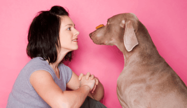 Scientists Say Your Pet Might Actually Be Neurodivergent