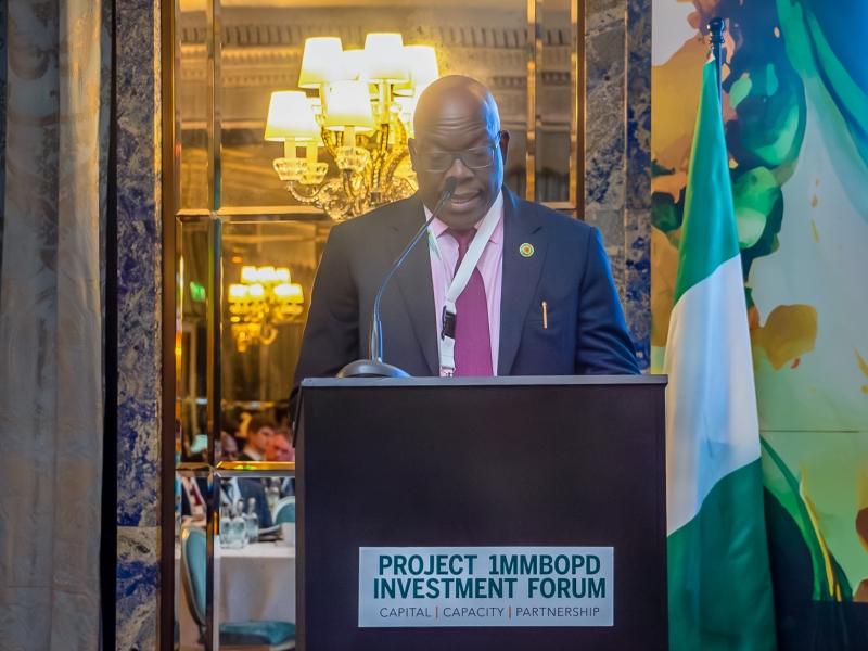 Nigeria to Launch 2025 Oil Licensing Round in December