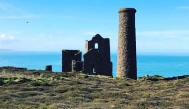 Lazy Sunday (23/11/25)