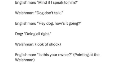 This is hilarious 😂