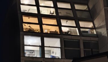 Gult eller blått ljus hemma hos swedditörer?