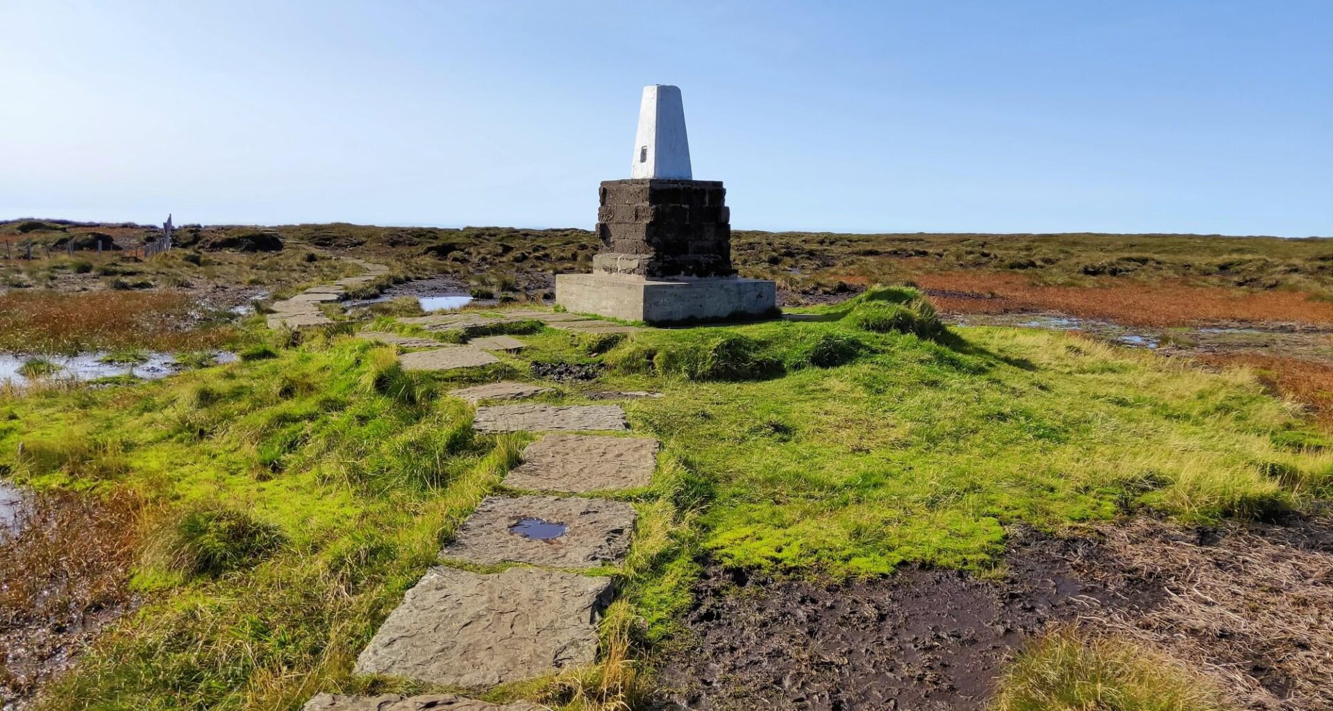 Lazy Sunday (02/11/25)