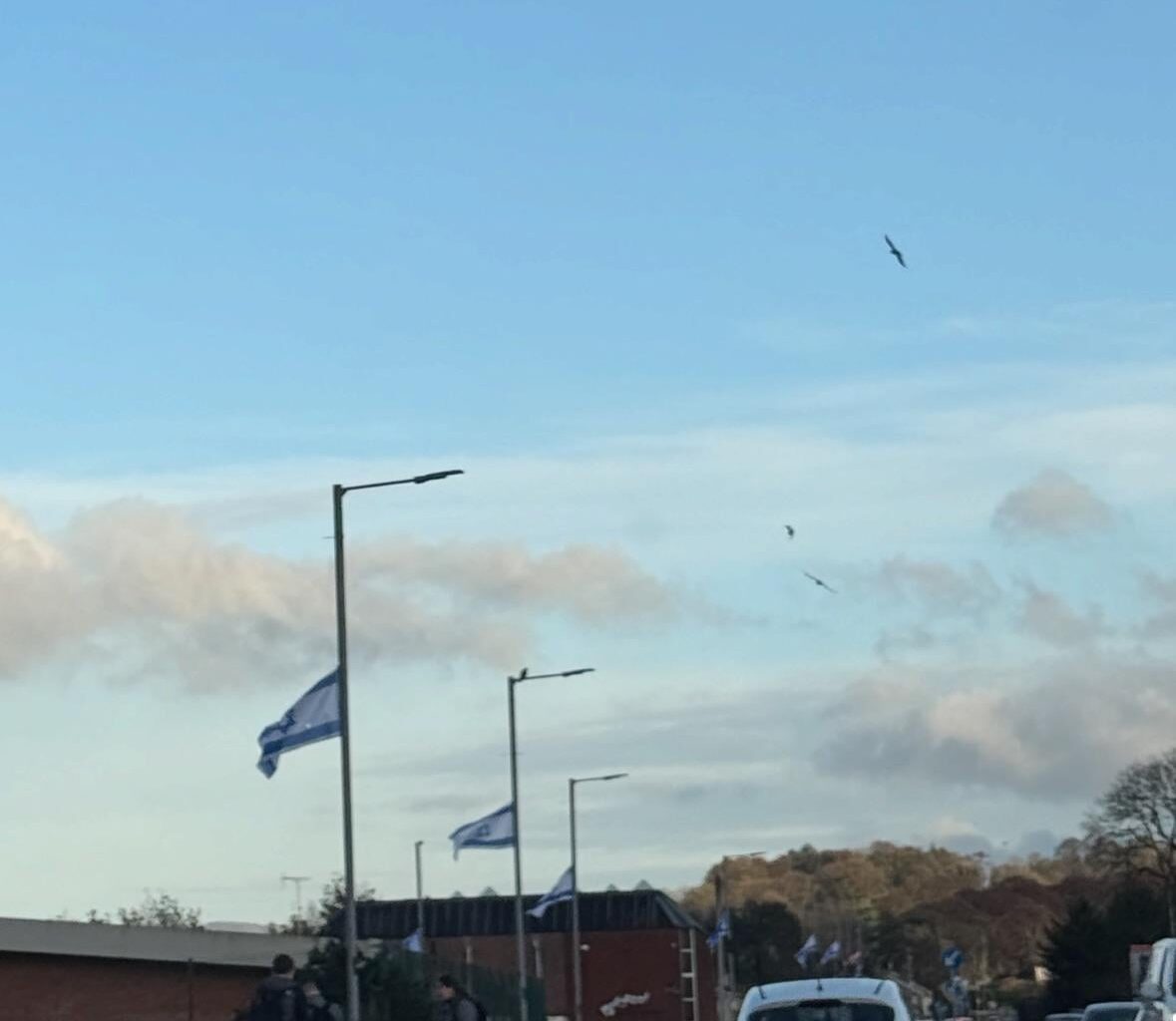 Ballymena flagshaggers strike again