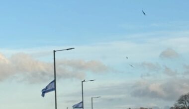 Ballymena flagshaggers strike again