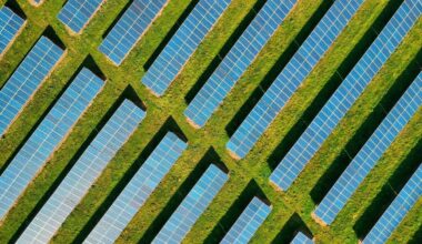 Growth of Wind and Solar Keeping Fossil Power in Check