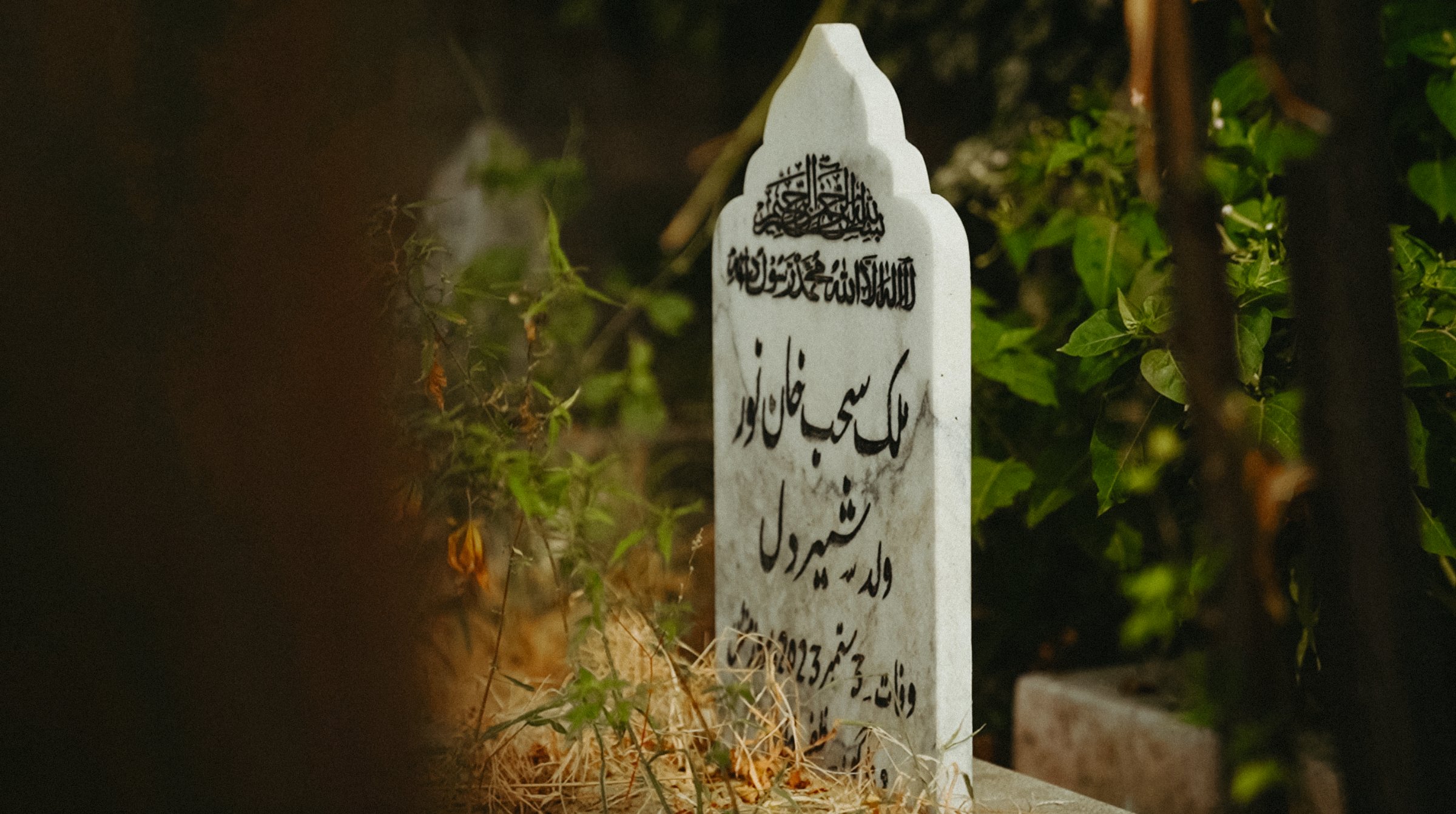 Une pierre tombale blanche entourée de végétation.