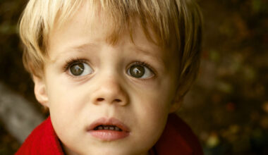 Vipera, drog, szamurájkard – Egy körözött bűnöző ámokfutása a gyermekek között