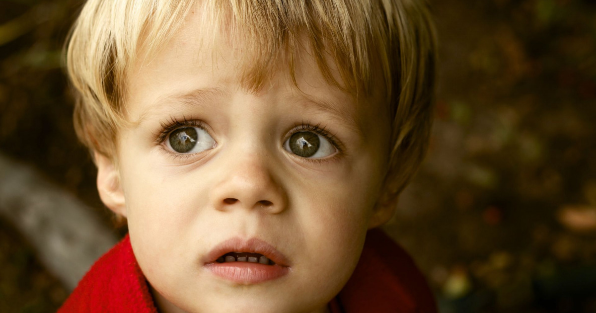 Vipera, drog, szamurájkard – Egy körözött bűnöző ámokfutása a gyermekek között